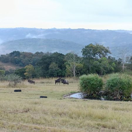 @Nature Luxury Cottages Mbombela Eksteriør billede