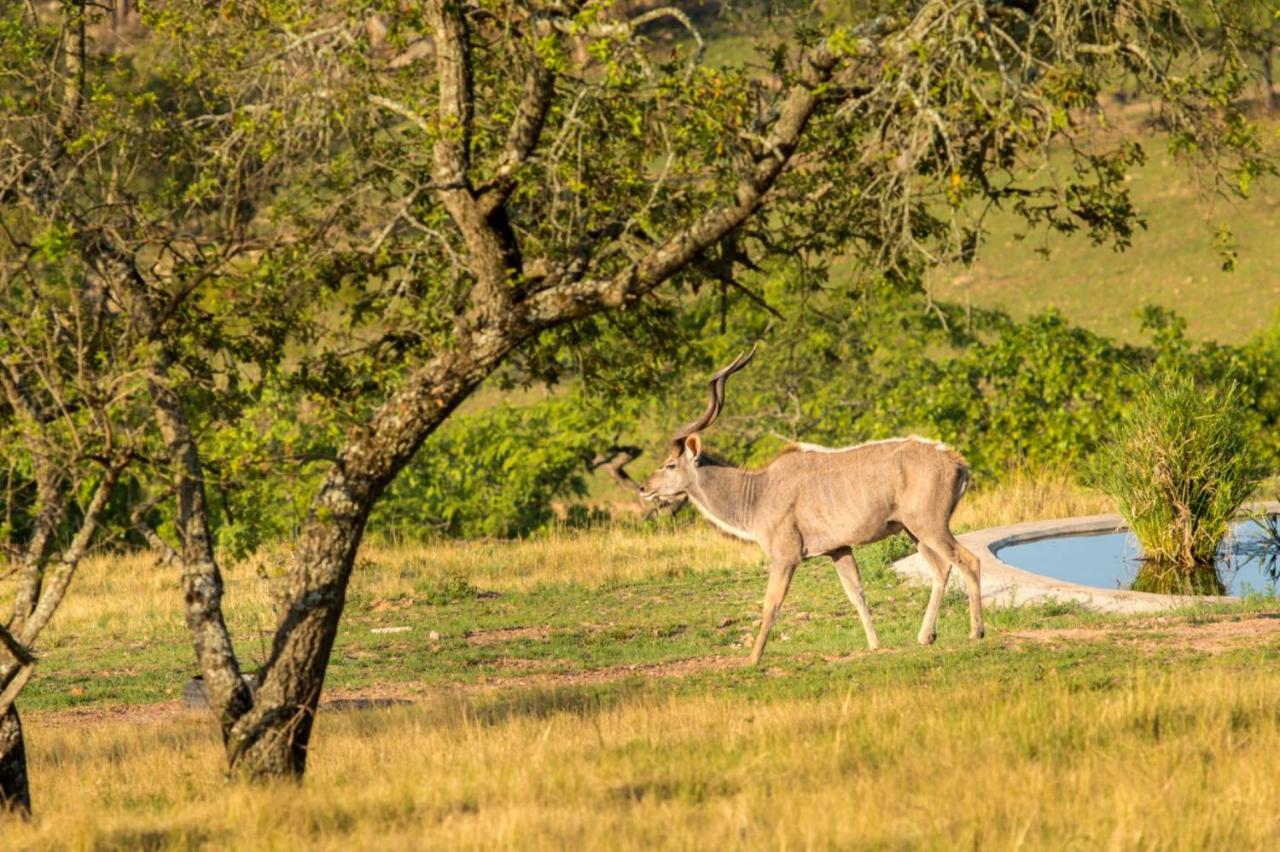 @Nature Luxury Cottages Mbombela Eksteriør billede