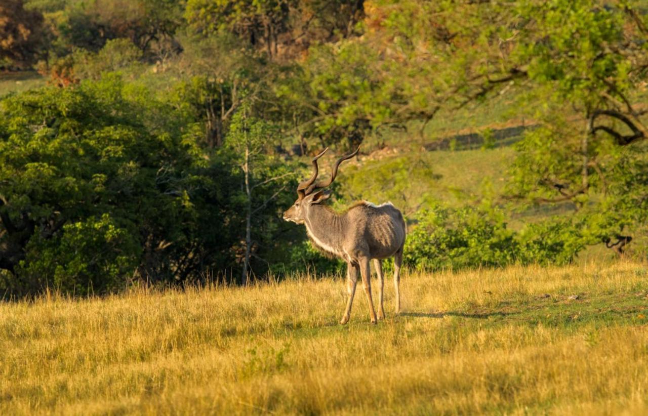 @Nature Luxury Cottages Mbombela Eksteriør billede