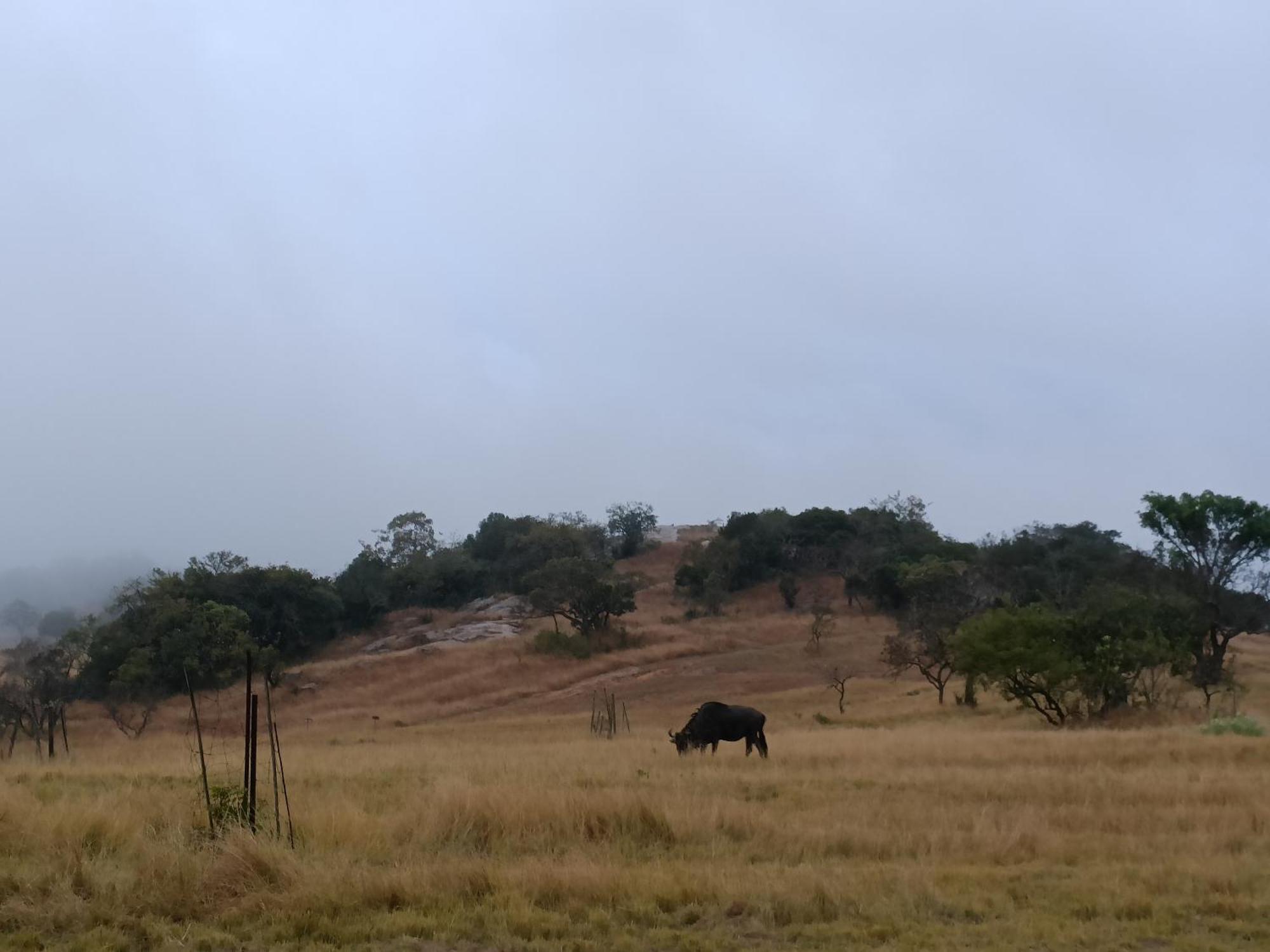 @Nature Luxury Cottages Mbombela Eksteriør billede