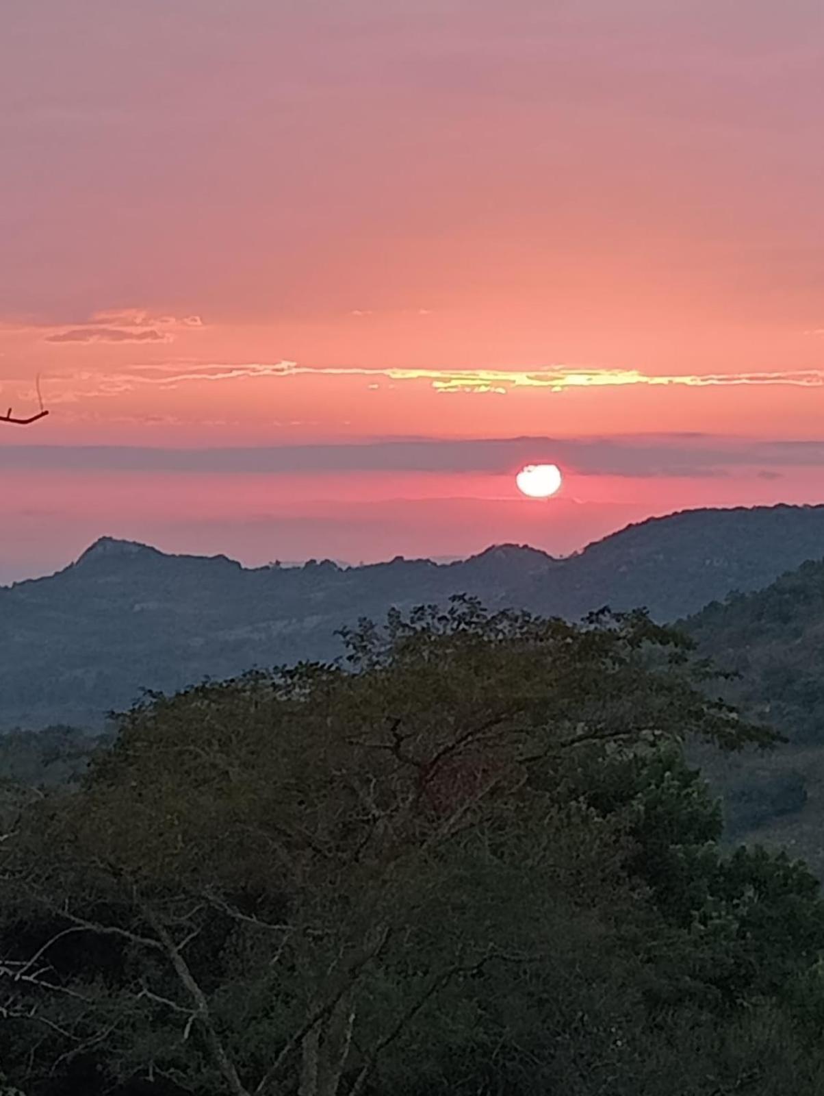 @Nature Luxury Cottages Mbombela Eksteriør billede