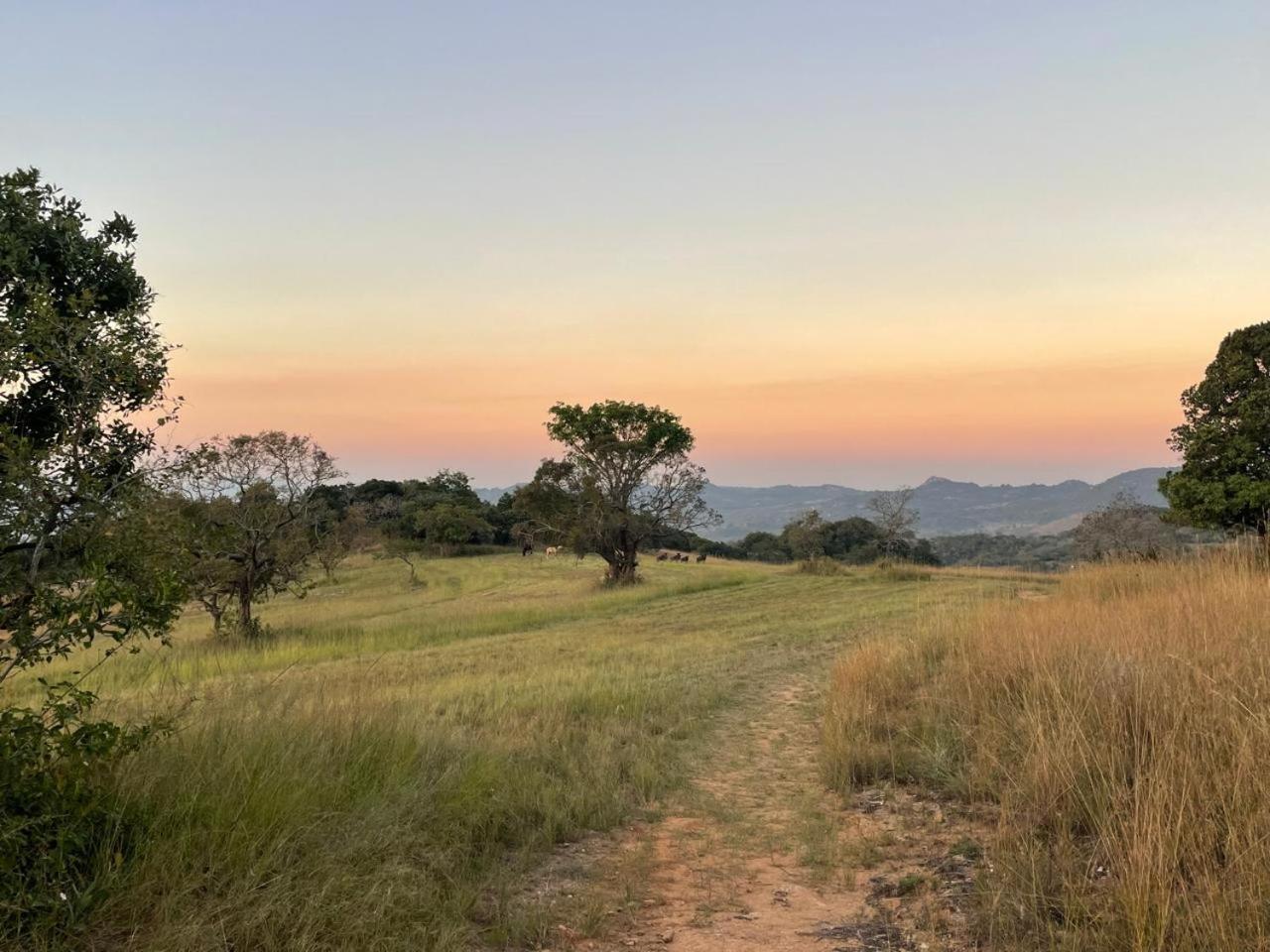 @Nature Luxury Cottages Mbombela Eksteriør billede