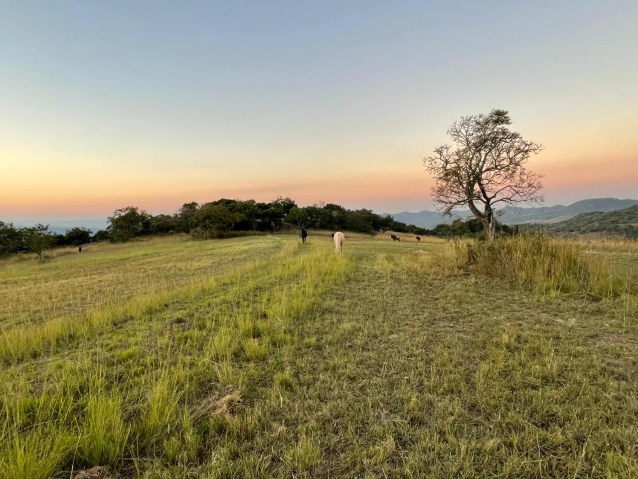 @Nature Luxury Cottages Mbombela Eksteriør billede