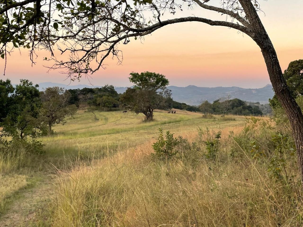 @Nature Luxury Cottages Mbombela Eksteriør billede