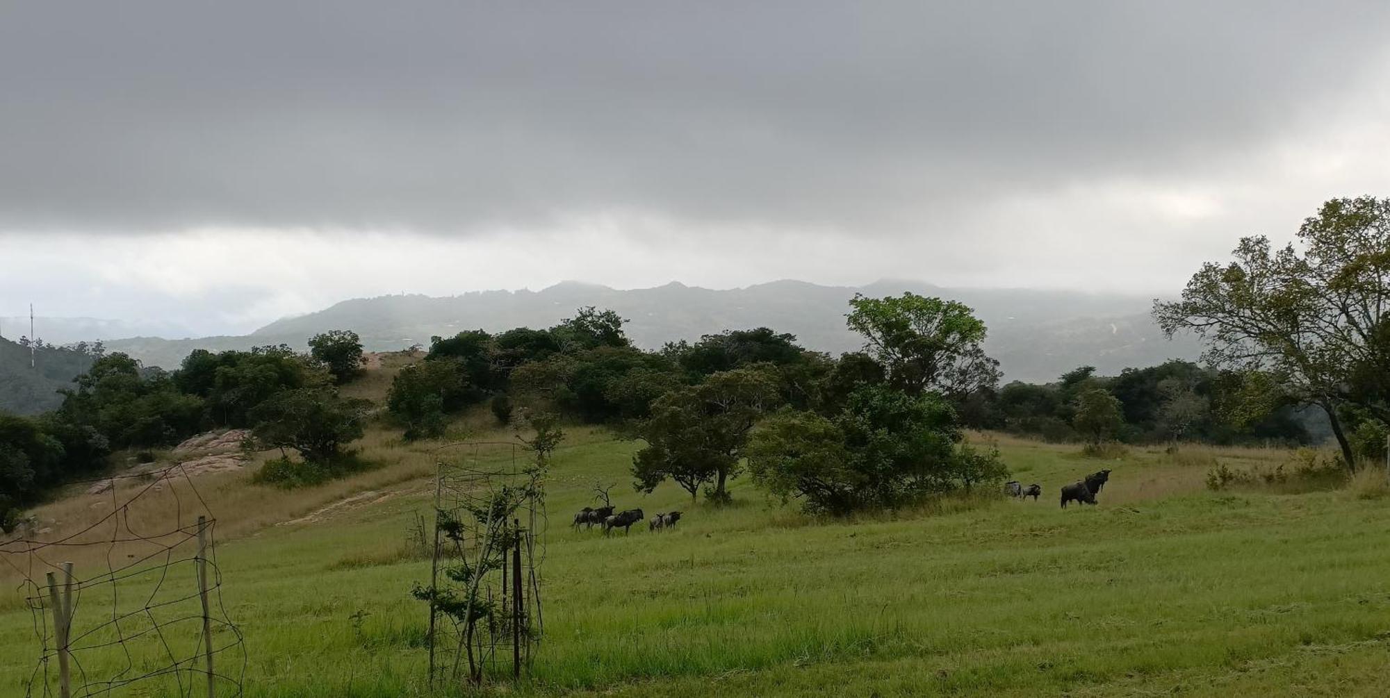 @Nature Luxury Cottages Mbombela Eksteriør billede