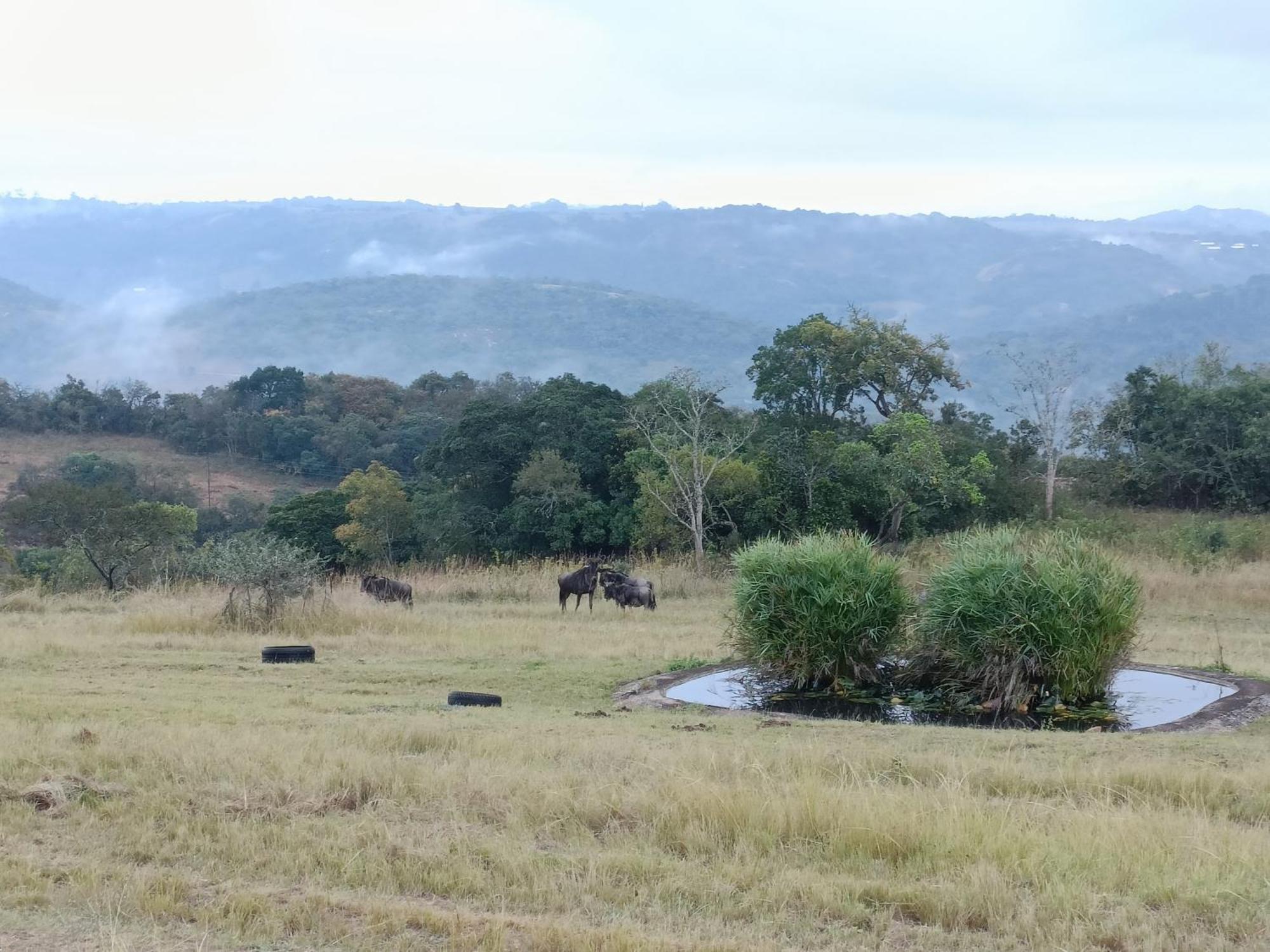 @Nature Luxury Cottages Mbombela Eksteriør billede