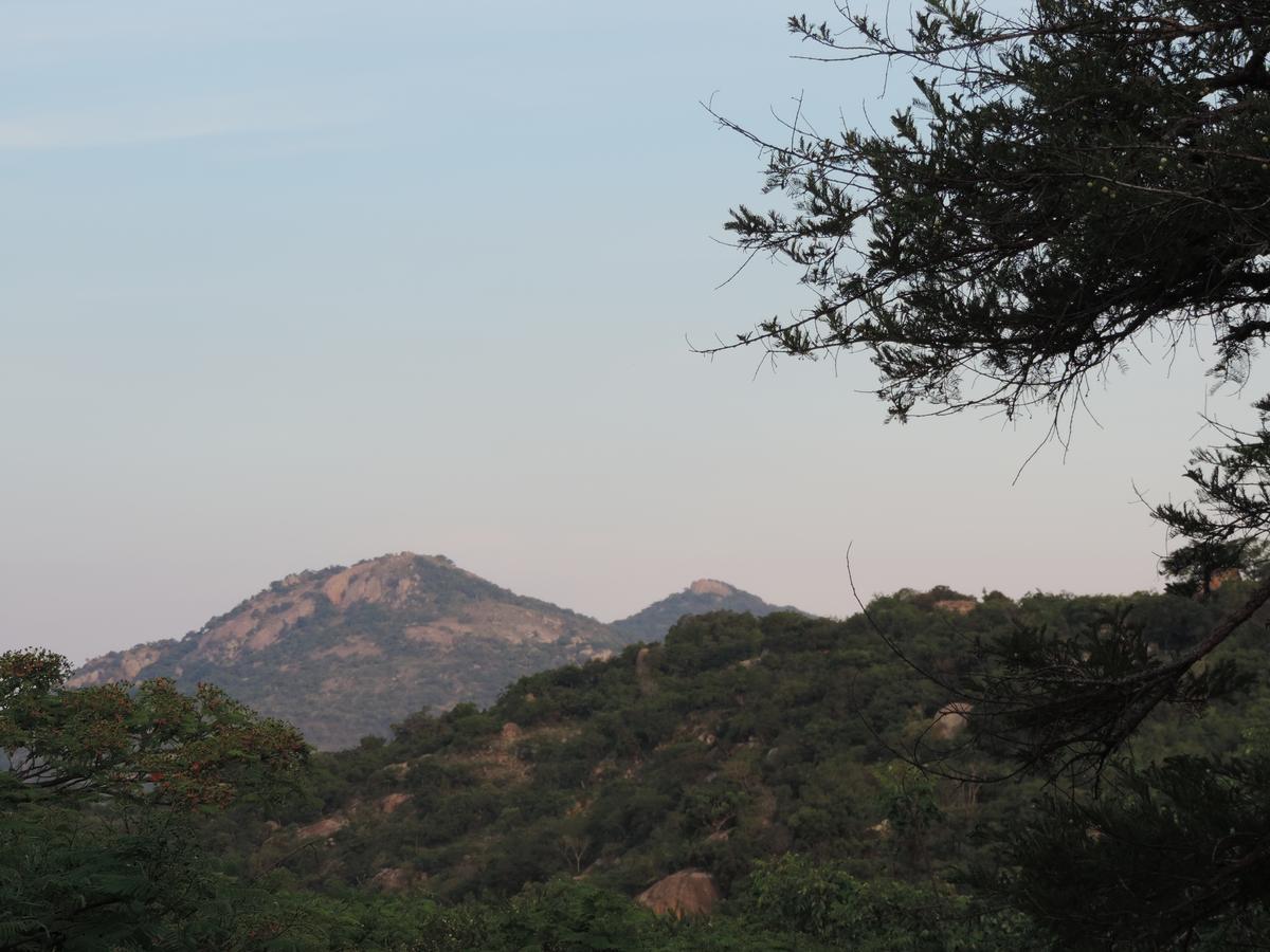 @Nature Luxury Cottages Mbombela Eksteriør billede