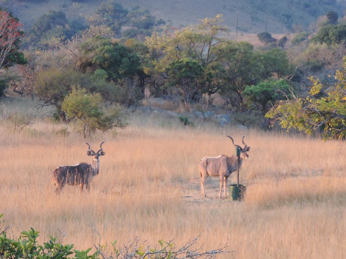 @Nature Luxury Cottages Mbombela Eksteriør billede