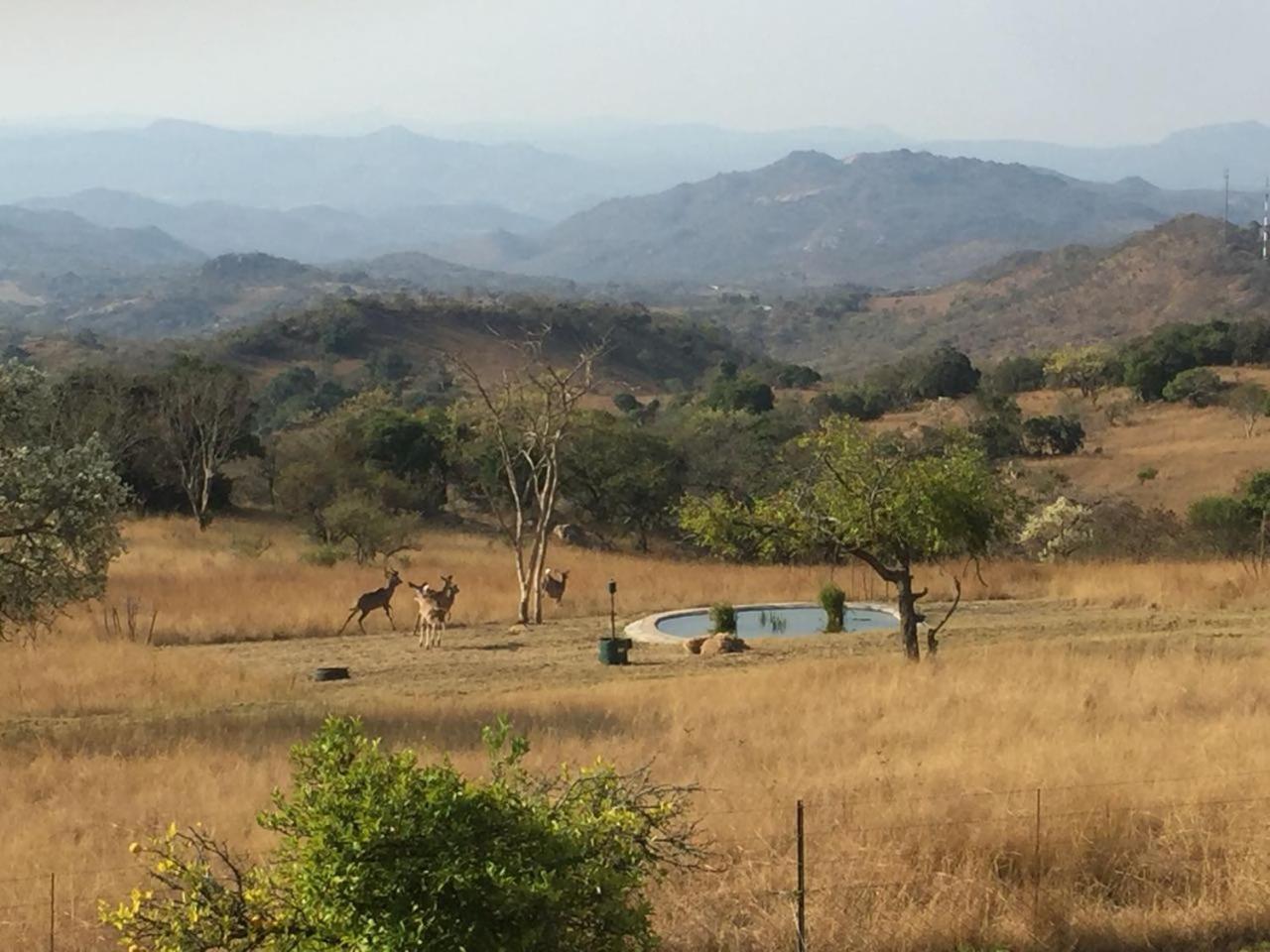 @Nature Luxury Cottages Mbombela Eksteriør billede