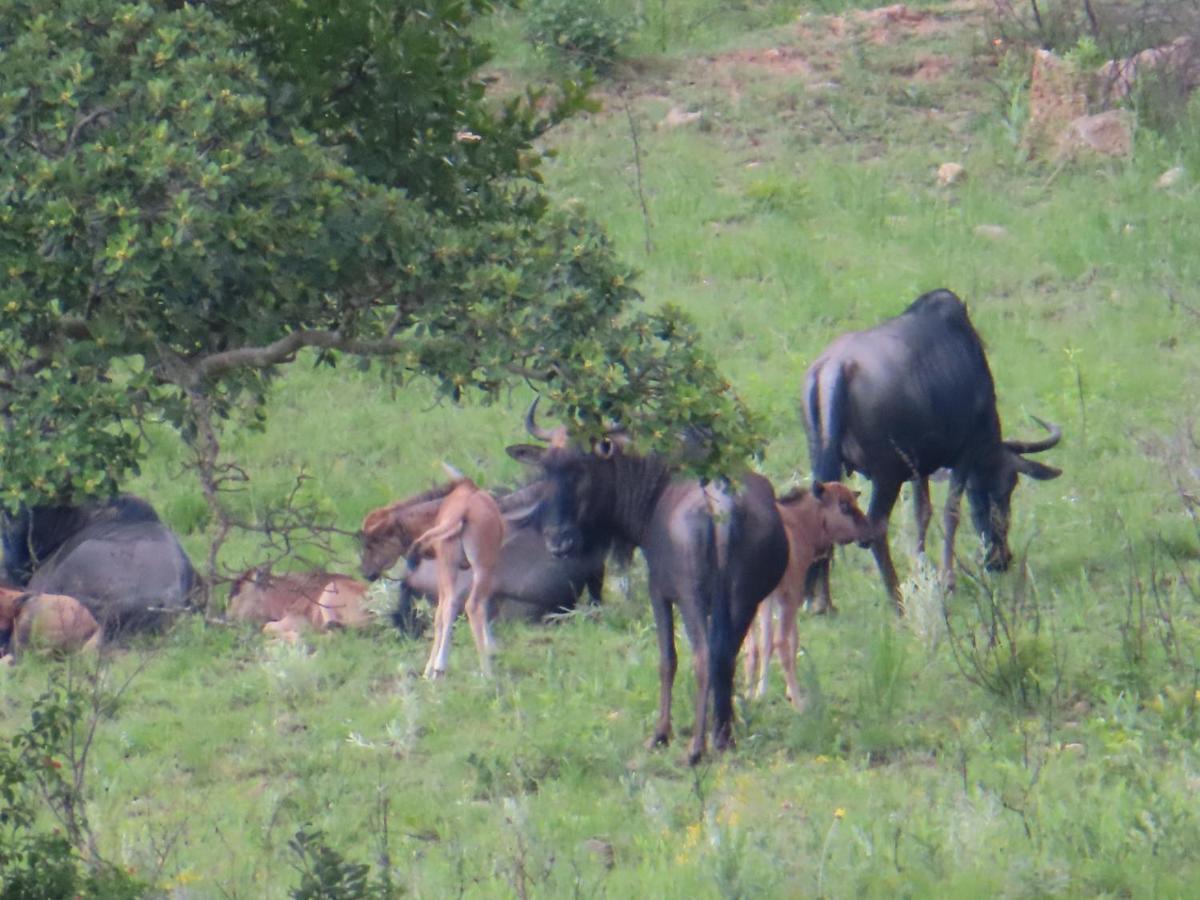 @Nature Luxury Cottages Mbombela Eksteriør billede