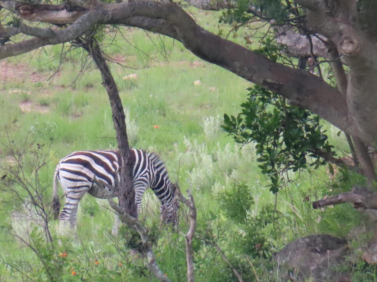 @Nature Luxury Cottages Mbombela Eksteriør billede