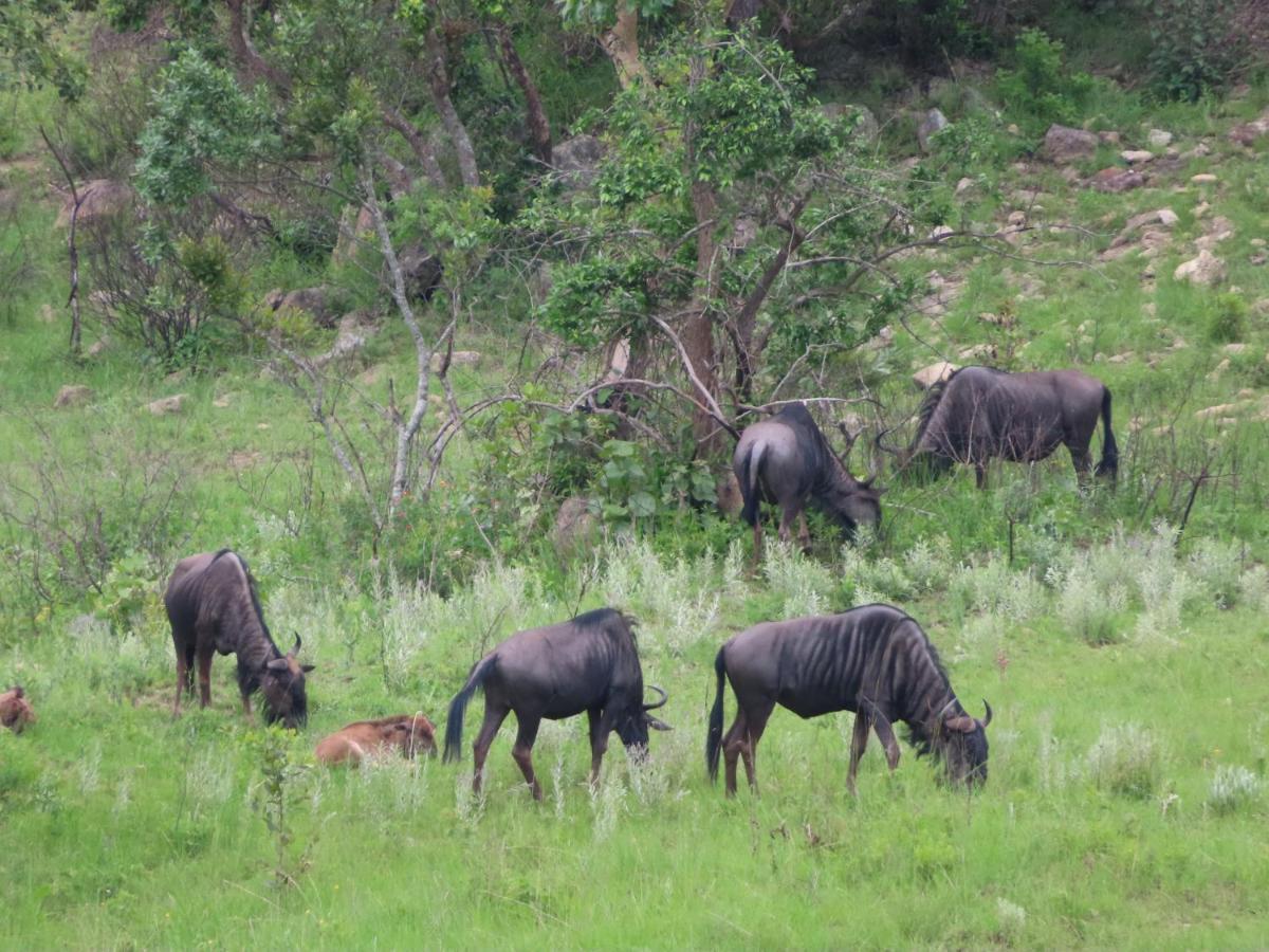 @Nature Luxury Cottages Mbombela Eksteriør billede